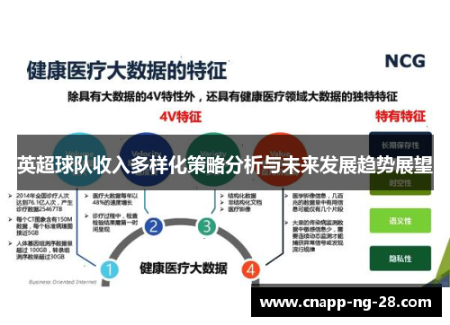英超球队收入多样化策略分析与未来发展趋势展望 英超球队收入多样化策略分析与未来发展趋势展望
