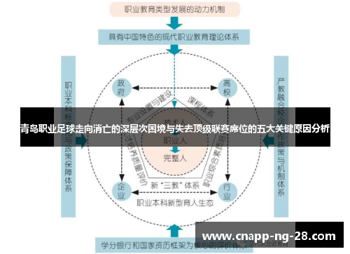 青岛职业足球走向消亡的深层次困境与失去顶级联赛席位的五大关键原因分析