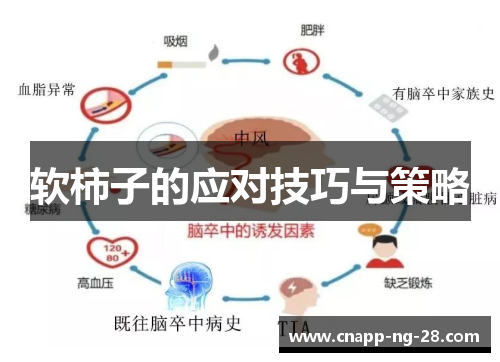 软柿子的应对技巧与策略