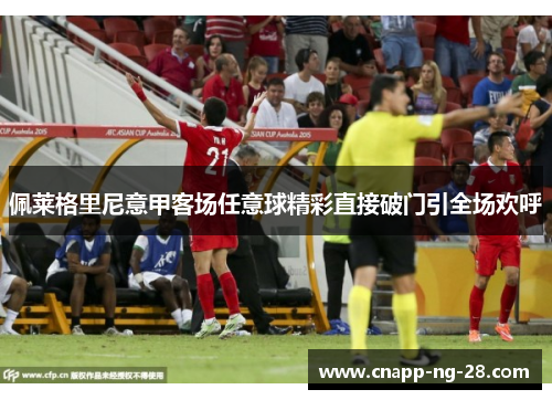 佩莱格里尼意甲客场任意球精彩直接破门引全场欢呼 佩莱格里尼意甲客场任意球精彩直接破门引全场欢呼